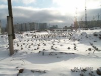 10 солнц.jpg