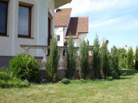 Изображение 024.jpg