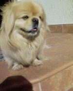 Перс 24.03.07.JPG