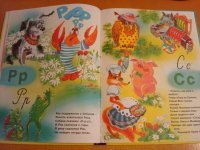 DSC02903-1.jpg