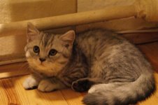 DSC00890.JPG