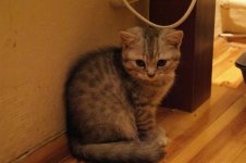 DSC00883.JPG