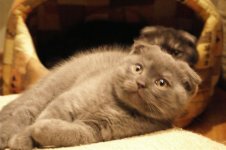 DSC00902.JPG