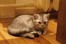 DSC00886.JPG