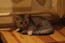 DSC00888.JPG