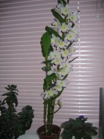 IMG_3906_новый размер.JPG