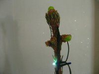 IMG_1251 620х280.jpg