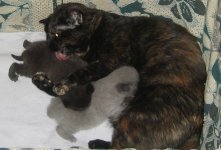 IMG_5451.JPG