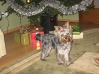 октябрь 2008 025.jpg