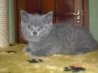 пометы ОиП 033.jpg