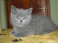 пометы ОиП 036.jpg