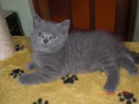 пометы ОиП 038.jpg