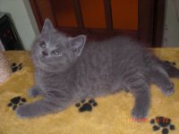 пометы ОиП 039.jpg