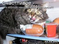 котег.jpg