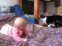 IMG_0702_sm.JPG