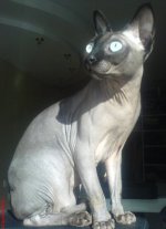 DSC00243.JPG