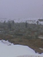 Image(10).jpg