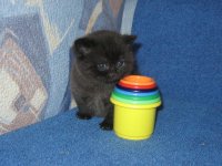 IMG_5583.JPG