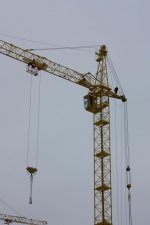 DPP_0016.jpg