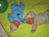IMG_1185.jpg