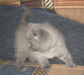 IMG_5695.jpg