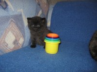 IMG_5586.JPG