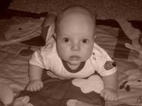 foto 049.jpg