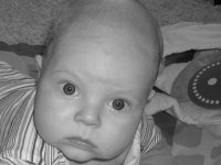 foto 036.jpg