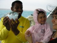 2009-02-21 Египет Хургада 124.jpg