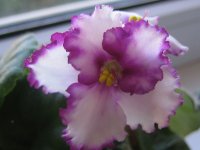IMG_0861.JPG