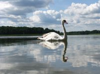 IMG_5280.jpg