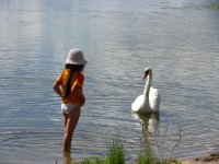 IMG_5259.jpg