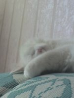 12-08-09_1236.jpg