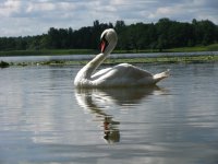 IMG_5283.jpg