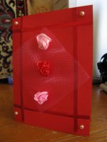 Resize of IMG_7834.JPG