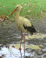 IMG_4759-small.jpg