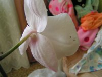 PICT9897.jpg