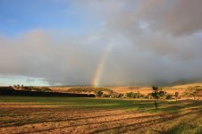 IMG_3524.JPG
