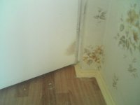 13 покоцанная дверь.jpg