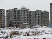 IMG_1033.JPG