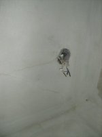 126073f3e5c5.jpg