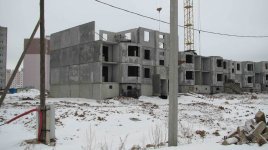 IMG_4913.jpg