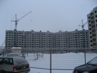 IMG_7428.JPG