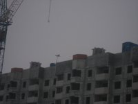 IMG_7433.JPG