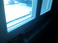 IMG_20130115_150343.jpg