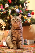 IMG_0741_новый размер.JPG