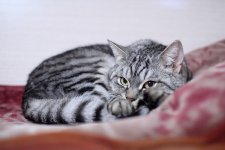 IMG_0786_новый размер.JPG