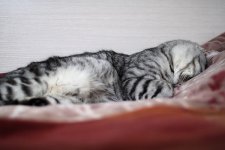 IMG_0798_новый размер.JPG