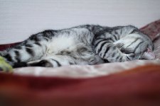 IMG_0800_новый размер.JPG