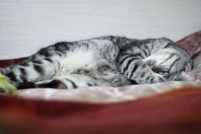 IMG_0801_новый размер.JPG